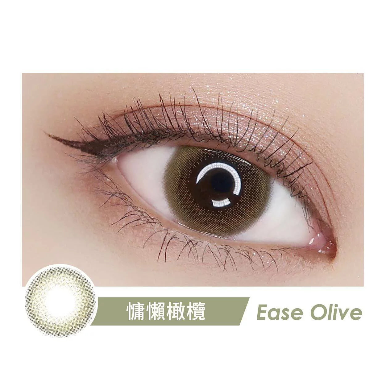 Aquamax日拋美瞳10片裝- Ease Olive