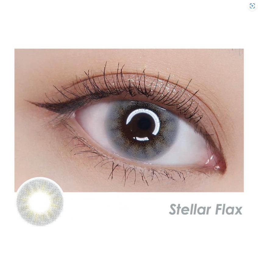 AQUAMAX日抛美瞳10片裝- Stellar Flax